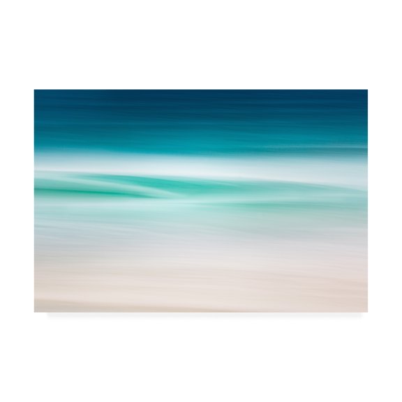 Trademark Fine Art 'Atlantic Drift' Canvas Art by Lynne Dougla