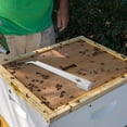thumbnail image 4 of Miangastore Hive Tool Beekeeping Stainless Steel 1Pack 11.3X1.8X0.08In, 4 of 9