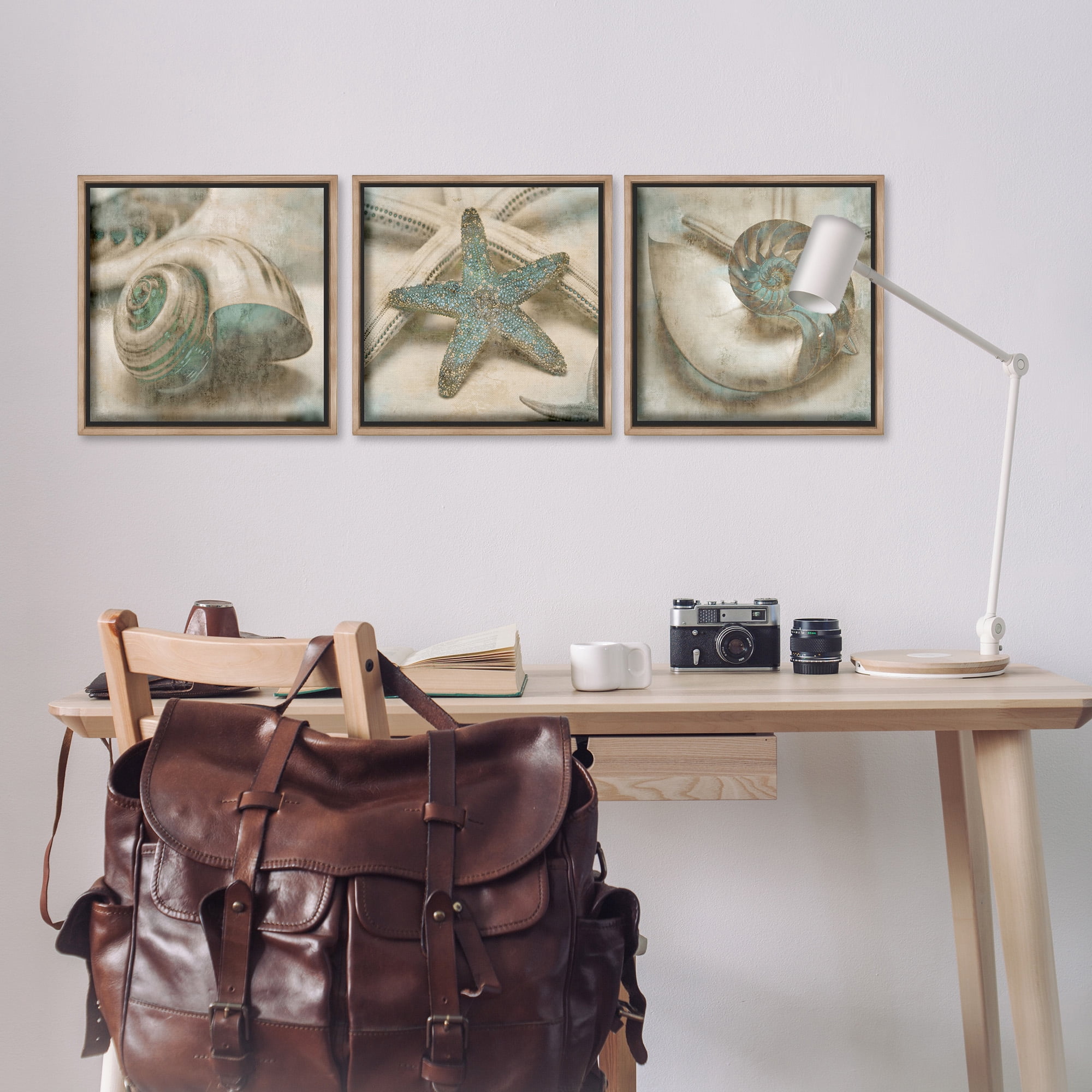 Stupell Industries Starfish & Sea Shells Distressed Nature Painting Brown Floater Framed Canvas Art Print Wall Art, 18 x 18, Set of 3