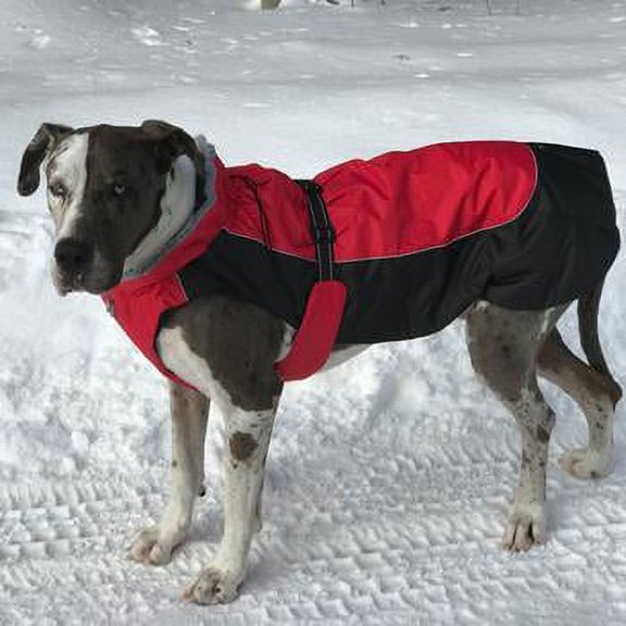Alpine All-Weather Dog Coat by Doggie Design - Red and Black Small
