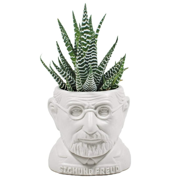 The Unemployed Philosophers Guild Sigmund Freud Bust Ceramic Planter