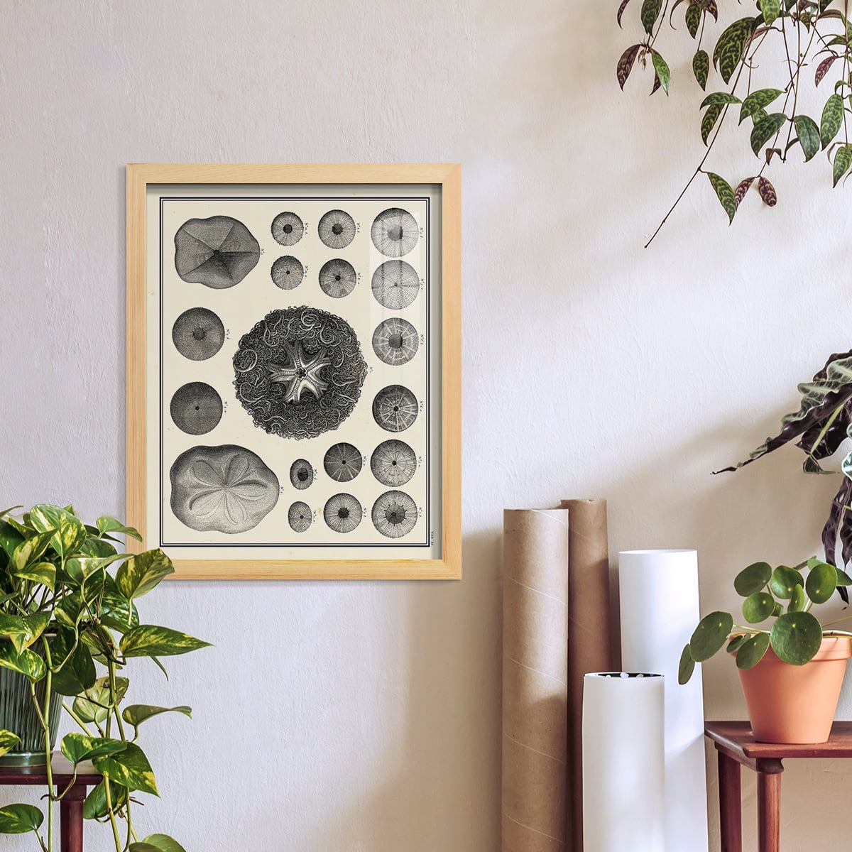 Aegean Collection I -Framed Print w/glass-Natural Wood