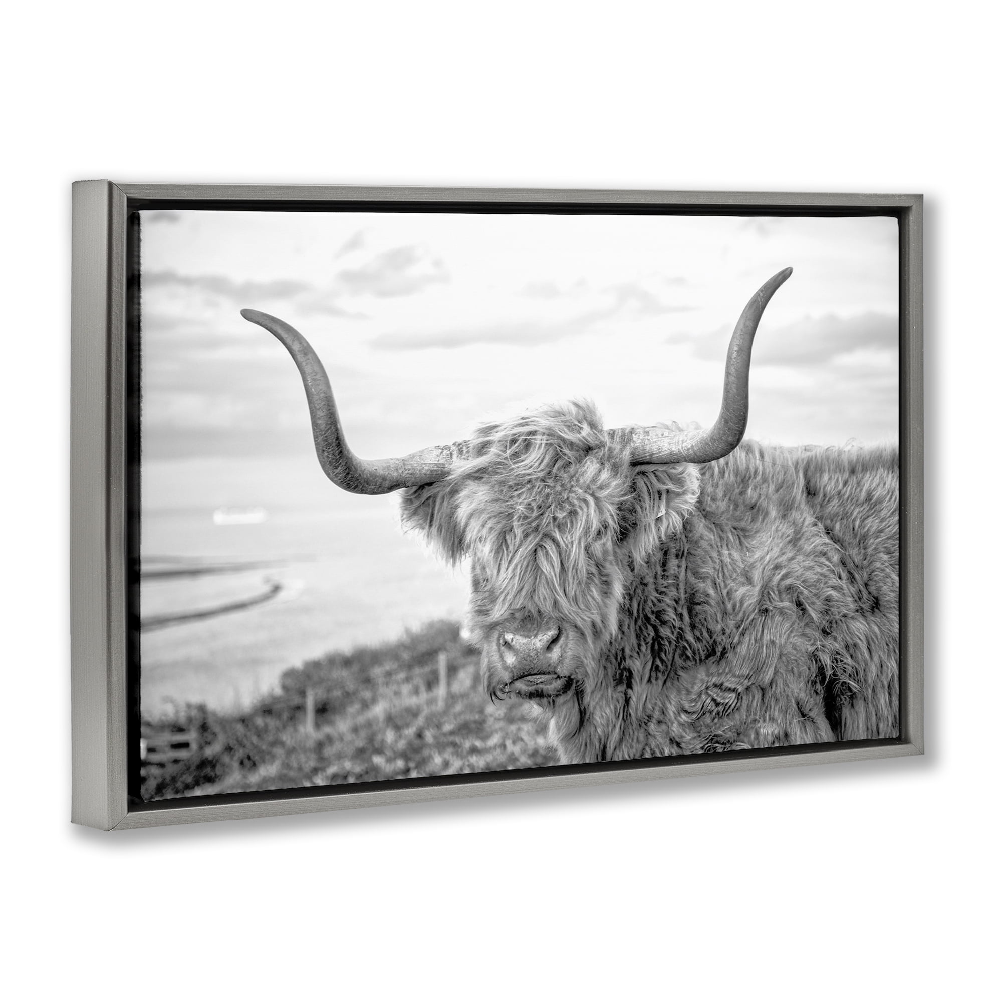 Stupell Industries Traditional Fuzzy Cattle Animals & Insects Photography Gray Floater Framed Canvas Art Print Wall Art, 25 x 17