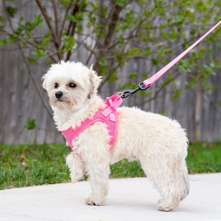Vibrant Life, Dog Harness, Mesh Adjustable, Reflective Dog Walking Pet Harness, Pink Size Xs Vibrant Life, Dog Harness, Mesh Adjustable, Reflective Dog Walking Pet Harness, Pink Size Xs