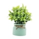 thumbnail image 2 of Pequeñas plantas falsas, plantas artificiales en macetas, mesa decorativa, centro de mesa, adorno de escritorio, plantas de imitación para alféizares Verde, 2 of 10