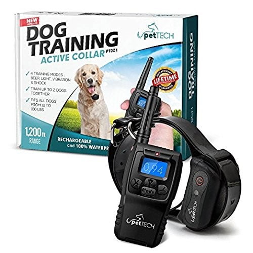 high voltage dog collar