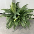 thumbnail image 7 of 2 PCS UV Resistant Lifelike Artificial Boston Fern, Outdoor Faux Ferns for Porch Window Home Decor, Fake Ferns for All-Season Greenery, 7 of 7