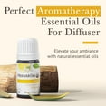 thumbnail image 3 of Pranarom - Uplift Essential Oil Blend (5ml) - Mandarin, Sweet Orange, Ylang Ylang, Patchouli, Blue Tansy - 100% Pure Essential Oil for Energy and Positivity | USDA and ECOCERT Certified Organic, 3 of 4