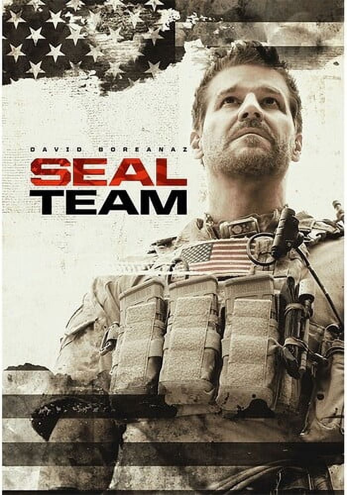 Amazon.com: SEAL Team: The Complete Series [DVD] : David