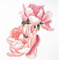 thumbnail image 3 of Atelier B Art Studio 15x15 Black Modern Framed Museum Art Print Titled - Two Pink Watercolor Roses, 3 of 5