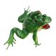 thumbnail image 1 of Modelo de Rana Juguete, Simulacia Vocalización de Juguetes de Rana para Niños para el Hogar, 1 of 7