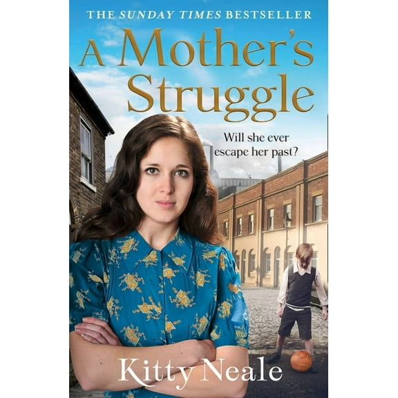 A Mother's Struggle (Paperback)