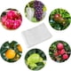 thumbnail image 3 of Scienceny 100x bolsas de malla blancas naturales y respetuosas con el medio ambiente para bolsas de protección de frutas y plantas Jardín y Patio Cordón blanco, 3 of 6