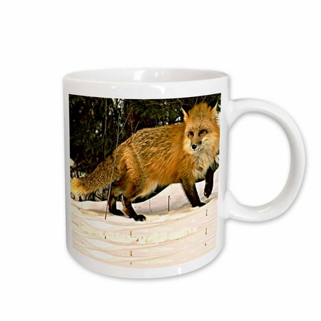 

3dRose Red Fox Ceramic Mug 11-ounce