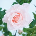 thumbnail image 3 of Realistic 120cm Artificial Rose Tree - Silk & Plastic Decorative Plant - Durable, Low Maintenance, Easy to Decorate - For Home, Events, Indoor & Outdoor - Pink Roses in White Pot, 3 of 8