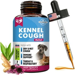 PetSilver Cough Immune Support with Chelated Silver for Dogs and Cats Vet Formulated Easy to Administer Just add to Drinking Water Immune Support for Healthy Lifestyle 12 fl oz Walmart