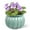 Pumpkin Blue, variant on ‌EFISPSS 6" Self-Watering Ceramic Planter for African Violets - Green Gradient | Natural Home Decor