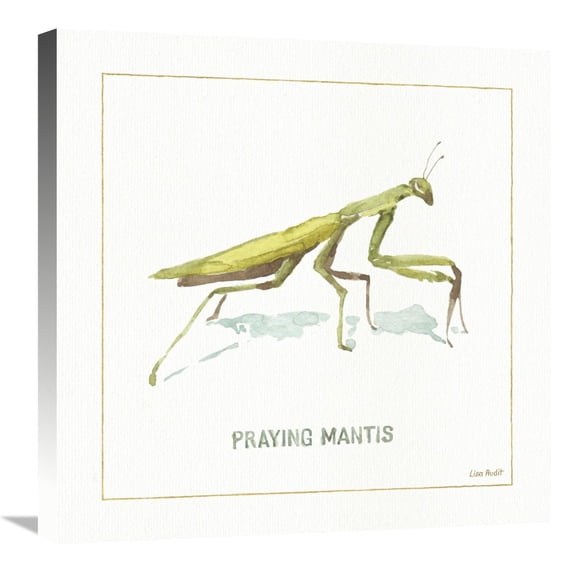 Global Gallery's 'My Greenhouse Praying Mantis' By Lisa Audit Stretched Canvas Wall Art
