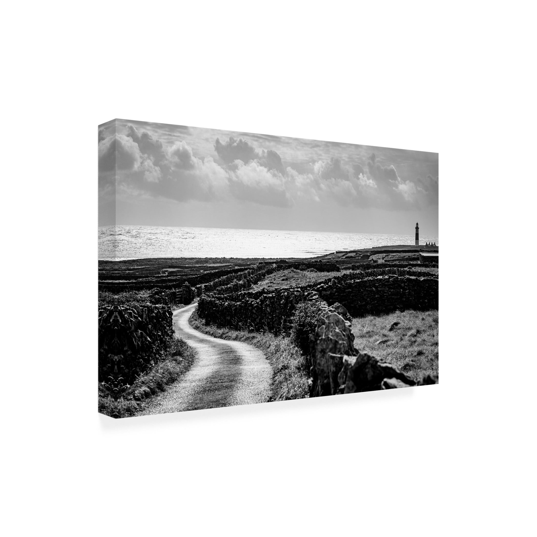Trademark Fine Art Tony Galvin Road to the Shore Canvas Wall Art