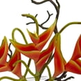 thumbnail image 3 of Nearly Natural 1454 Heliconia dans un Vase en Verre, 3 of 3