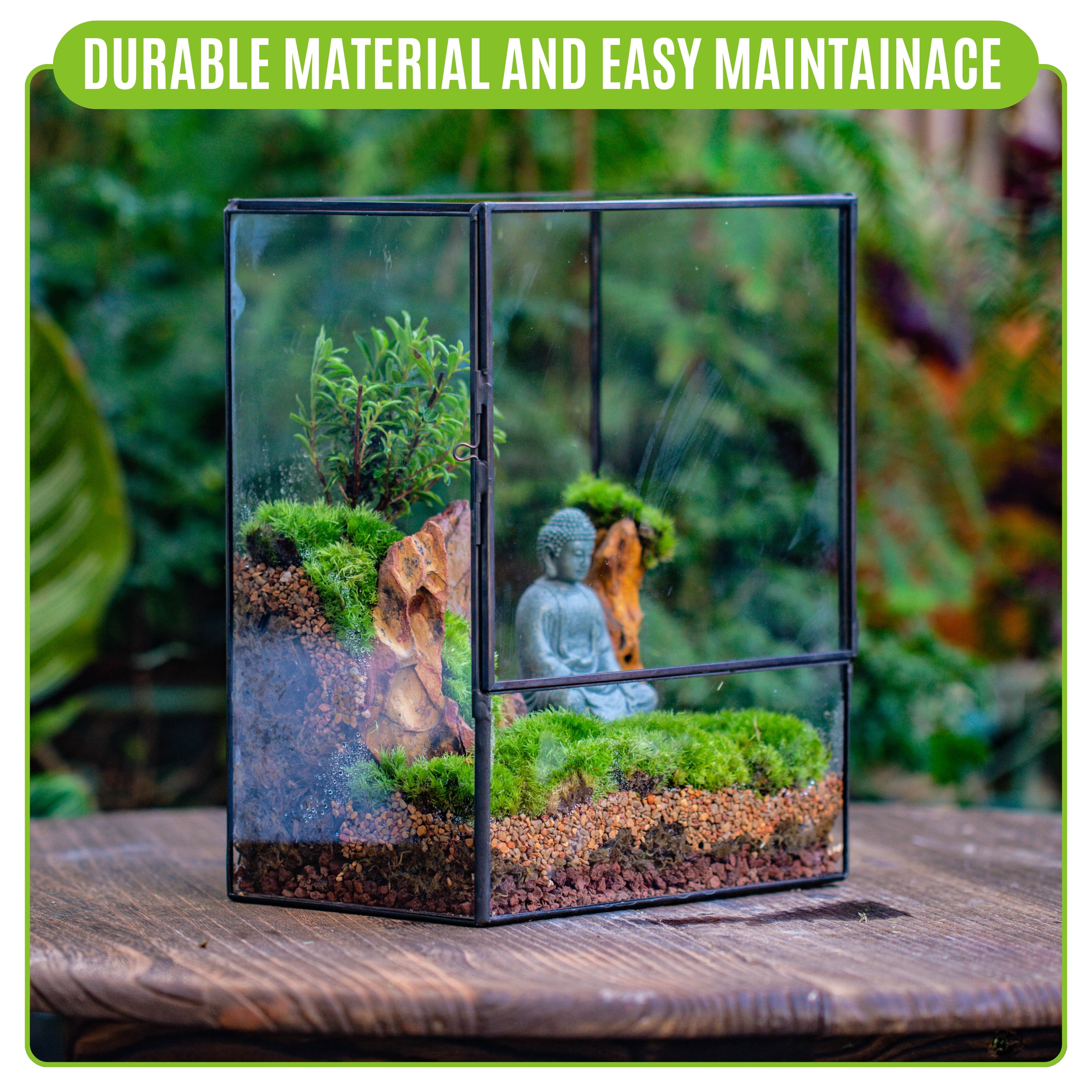 NCYP Small Rectangle Glass Terrarium with Door - Clear Tall Closed Geometric Planter for Moss, Fern, Indoor Tabletop Decor (Terrarium Only)