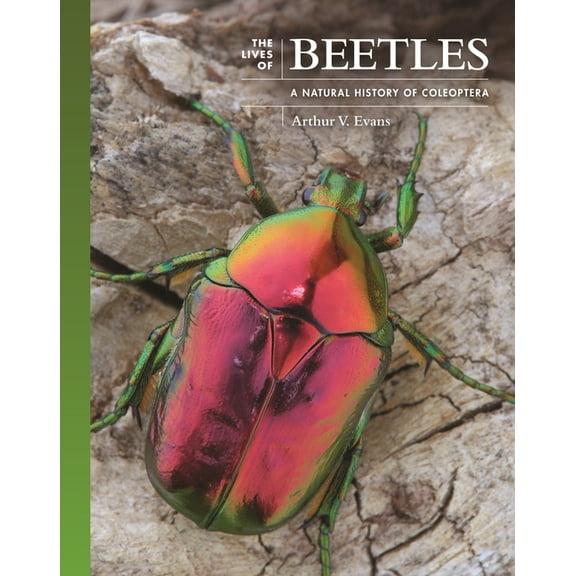 Lives of the Natural World The Lives of Beetles: A Natural History of Coleoptera, Book 3, (Hardcover)
