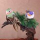 thumbnail image 2 of Tmvgtek 12 Unids/Set Simulación De Plumas De Espuma Artificial Modelos De Pájaros Miniatura De Jardín Tmvgtek Oficina Multiescena Multifunción, 2 of 8
