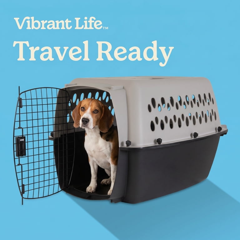Vibrant Life Small/Medium Hard-Sided Pet Carrier, Black and Gray