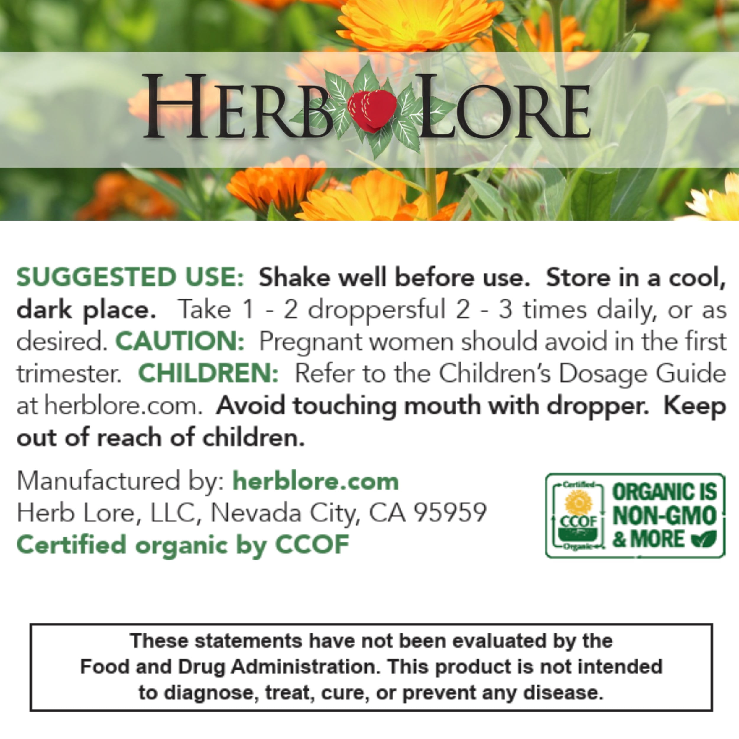 Herb Lore Organic Fennel Tincture – Digestive Support & Lactation Aid (2 fl oz)