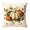 B003- Style D, variant on Halloween Pillow Cover, Fall Throw Pillow, Farmhouse Fall Decor, Halloween Home Decor, 1 Piece 18X18 Inch Soft Short Plush Pillow Cover, Single-Sided Retro Vintage Harvest Pumpkin
