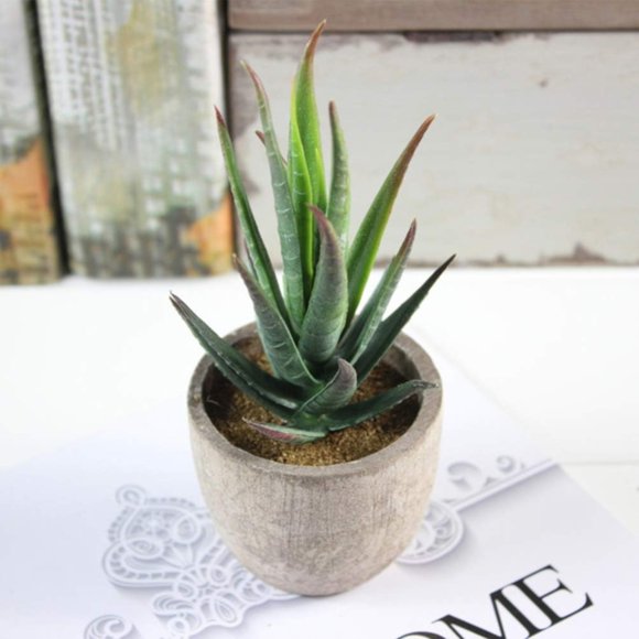 Discounted Prices! Simulation Green Plant Artificial Aloe Vera Potted Plant Army Green, Ag, 6.24*2.73*2.73In, Plastic 1*Simulation Aloe Vera Potted Plant Relocy
