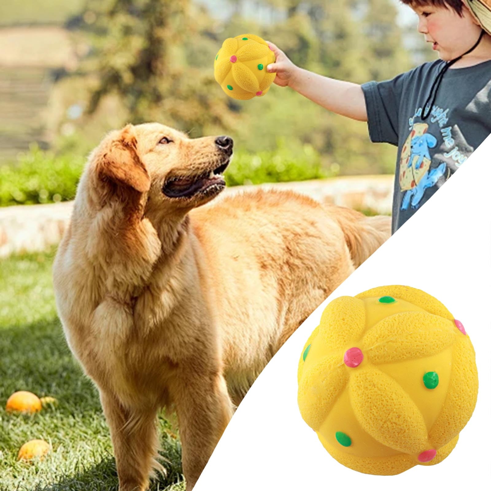 Squeaky Dog Chew Toy Interactive Pet Toys for Small Medium Dogs
