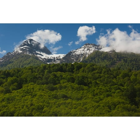 Russian Landscape - Trees in mountain landscape Carousel Mountain Krasnaya Polyana Sochi Caucasus Mountains Russia Poster Print