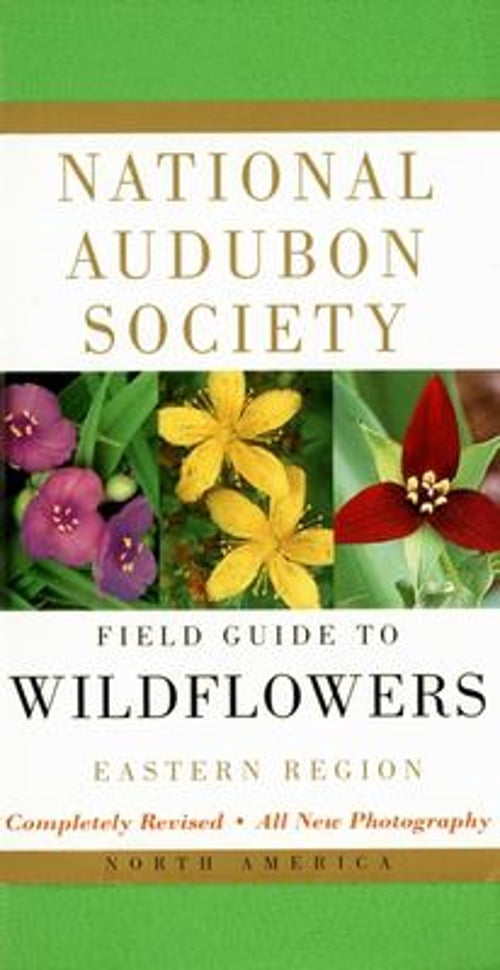 National Audubon Society Field Guide to North American Wildflowers--E: Eastern Region by National Audubon Society (Paperback)