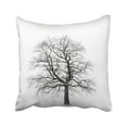 thumbnail image 1 of Funda de cojín ABPHQTO Black Bad Old Tree White 50x50 cm, 1 of 1