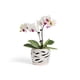 thumbnail image 1 of Maceta de Cerámica para Orquídeas Fayoula Fayoula 14 cm con Orificios de Drenaje, 1 of 8