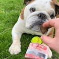 thumbnail image 7 of Farm to Pet Beef Chip Snack Pack Bundles, 12 Pack of Dog Treats, 7 of 7