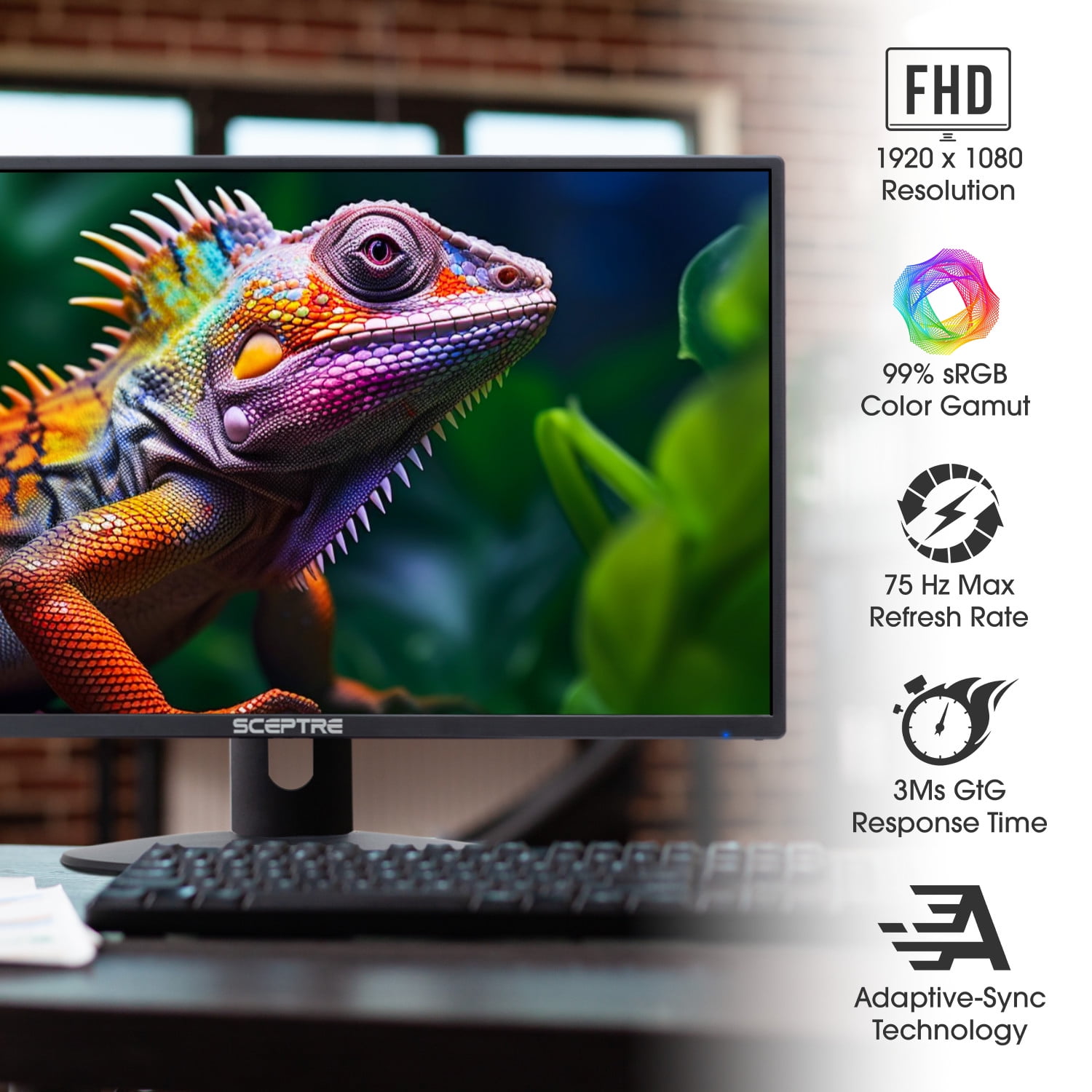 Sceptre 22" FHD LED Computer Monitor, Black, E225W-19203R