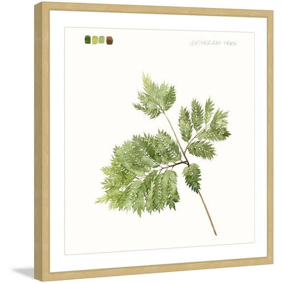 Marmont Hill "Leaf Study II" Framed Painting Print