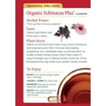 thumbnail image 4 of Traditional Medicinals Echinacea Plus Elderberry Seasonal Tea Organic, 16 ct (Pack - 6), 4 of 8