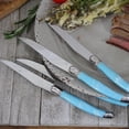 thumbnail image 4 of French Home   - Blue, 4 of 4