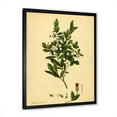 thumbnail image 2 of Designart 'Ancient Plant Life XXV' Traditional Framed Art Print, 2 of 4