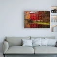 thumbnail image 3 of Trademark Fine Art 'Alley Springs Mill' Canvas Art by David Hammond, 3 of 3