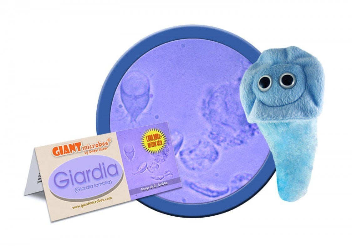  Giardia (Giardia lamblia) Educational Plush Toy, GIANTmicrobes