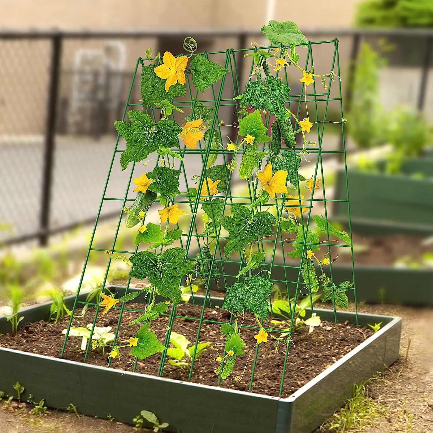 Cucumber Trellis, 2 Pack Foldable A Frame Trellis for Raised Bed Climbing Plants, Vegetables, Includes Plant Support Clips, Twist Ties, Plastic Ties- Made from PVC-Coated Steel
