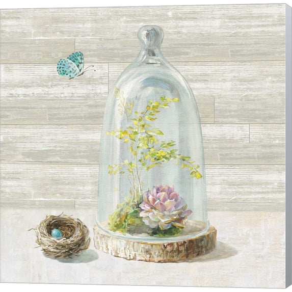 Succulent Garden III by Danhui Nai, Canvas Wall Art