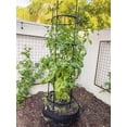 thumbnail image 6 of Titan Tomato Self-Watering Grow Bag & Trellis, 6 of 8