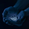 thumbnail image 1 of Dans ma main, 1 of 1