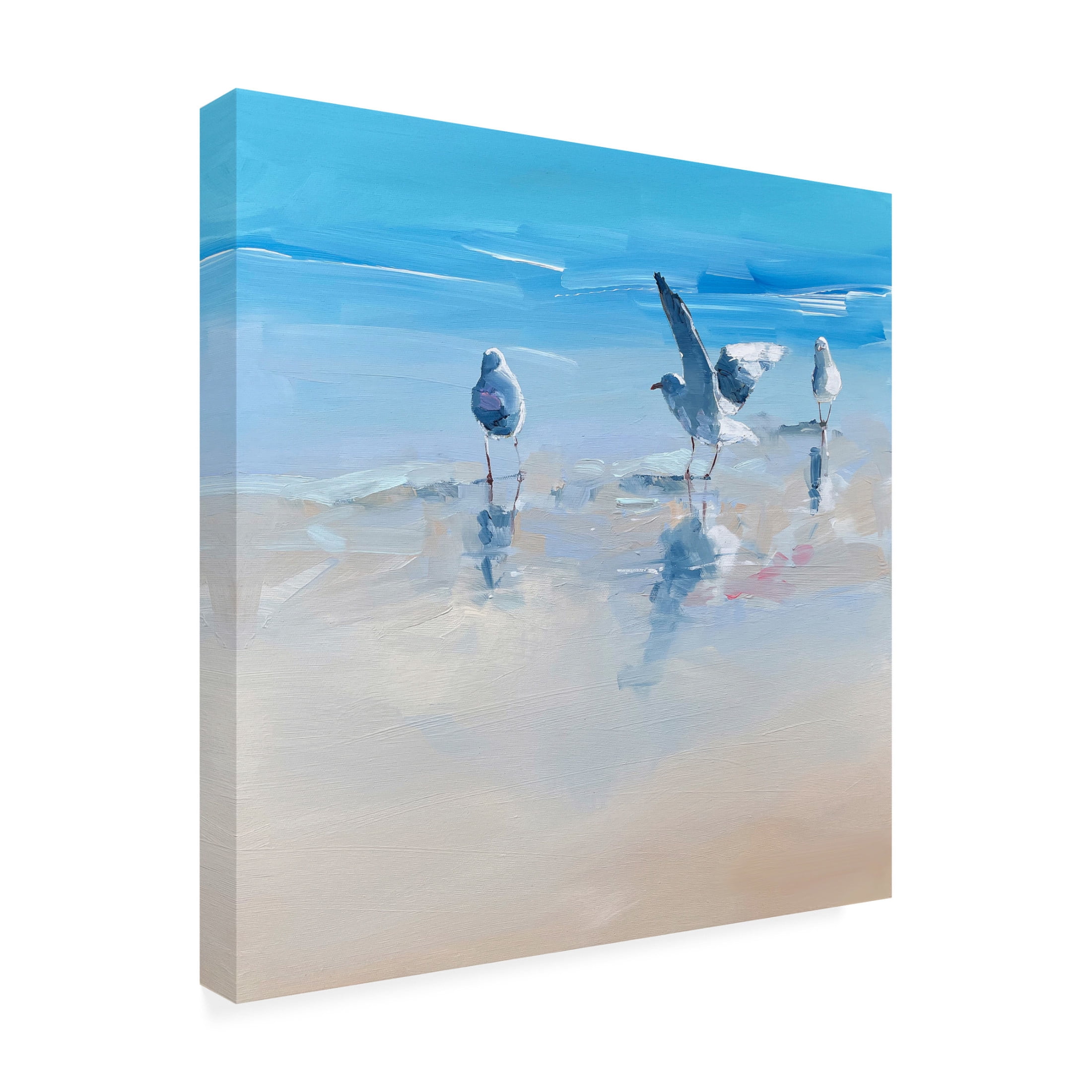 Canvas Wall Art - Craig Trewin Penny 'In the Shallows 1' Wall Art for Living Room, Bedroom, or Office Décor by Trademark Fine Art - 18 x 18 Inches