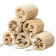 thumbnail image 1 of Esponja de lufa natural Ecológica Lufa exfoliante orgánica Ducha Luffa Depuradores de cuerpo real Piel Cara Espalda Baño Loofa para hombres, mujeres y adultos - 6 piezas, 1 of 7